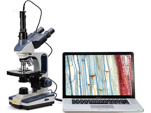 Microscopio Trinocular Compuesto Swift Sw350t 40x-2500x