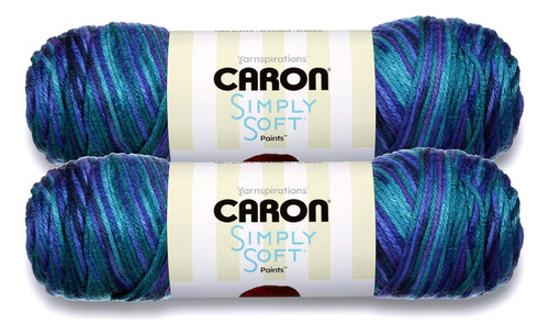 Soft Bulk Buy Paints 100% Acrylic Yarn (2-pack) ~ 5 Oz....
