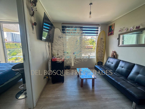 Arriendo Departamento En Mirador Placeres Marzo A Diciembre