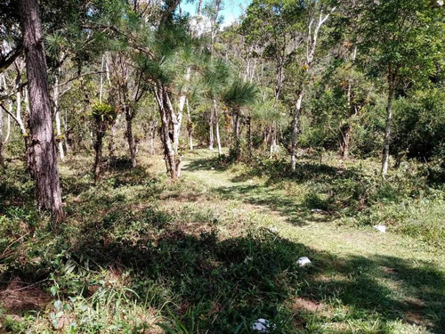 Imagem 28 de 30 de Chácara À Venda, São Paulo, Miracatu, Sp - Sp - Ch0011_yamamo