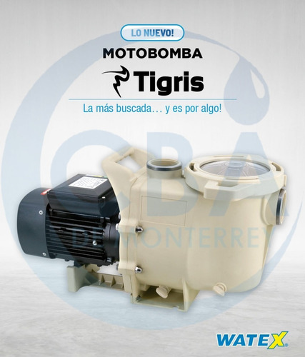 Motobomba Para Piscina Tigris 2.5hp 220v 1f