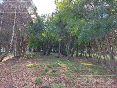 Imagen 2 de 9 de Excelente Terreno A La Venta En Barrio Cerrado Bariloche