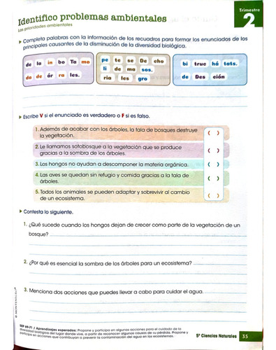 Rap 5, Repaso, Aprendo Y Practico, Ciencias, Montenegro.