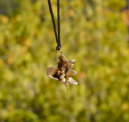 Imagen 6 de 6 de Collar Flor, Bronce, Modelado A Mano, Regalo Joyeria, Cod1
