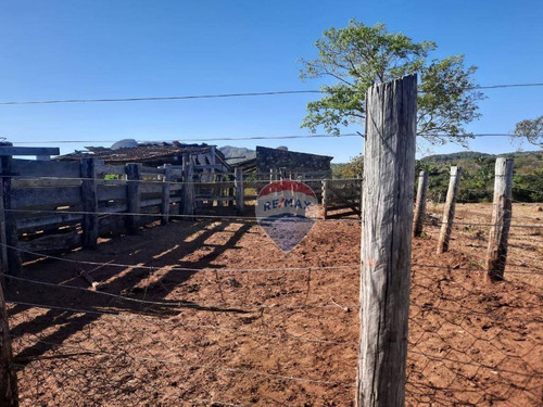 Imagem 12 de 18 de Fazenda Á Venda - Alto Boa Vista - Fa0005