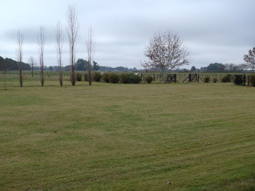 Imagen 9 de 16 de Campo En Alquiler En San Antonio De Areco