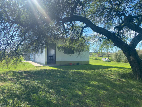 Casa Quinta Con Terreno De 1 Hectárea En Venta Altamira