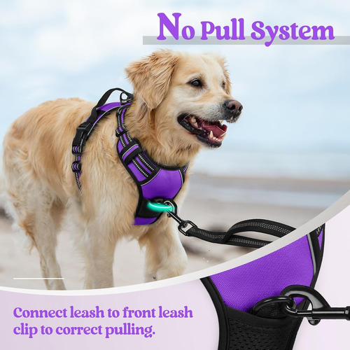 Arnés Para Perro Rabbitgoo No Tirar Ajustable Con 2 Clips L