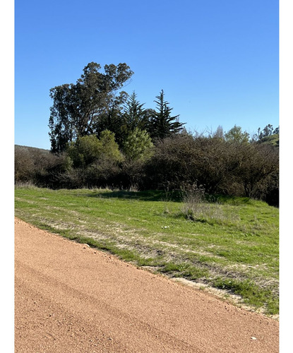 Excelente!! Parcelas De 5.000 M2 Con Rol Propio En "lom