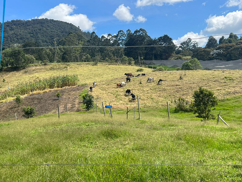 Hermosa Finca La Ceja Vereda El Capiro