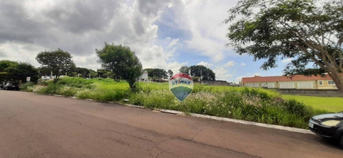 Imagem 3 de 8 de Terreno Comercial, 2000 M², Venda, Holambra, Sp - Te0651