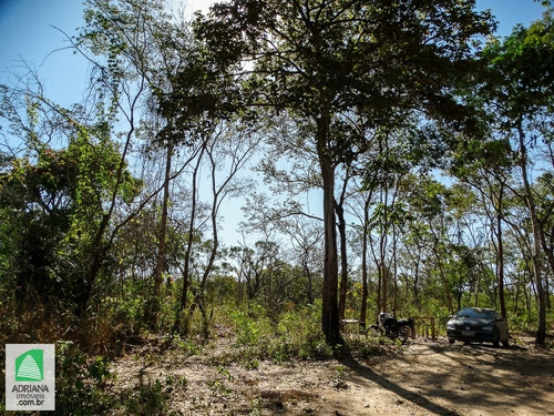 Venda Chacaras Lazer Com Acesso Ao Rio Verdinho Paisagem Paradisíaca - 5006