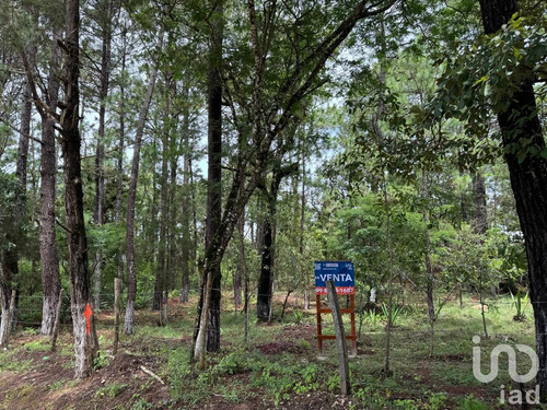 Venta Terreno 0 Ambiente Chijiltec (san Isidro)