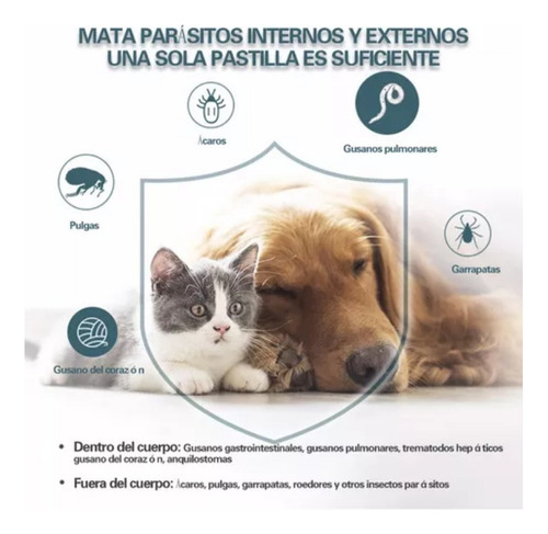 Comprimidos Para Parásitos Externos/internos De Perros 100 U