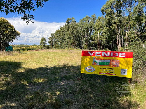 Terreno En Venta Lote 3, En Riachuelo. Colonia