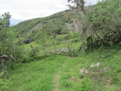 Finca En Venta (soatá - Boyacá)