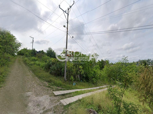 Terreno En Venta En Infonavit Las Granjas