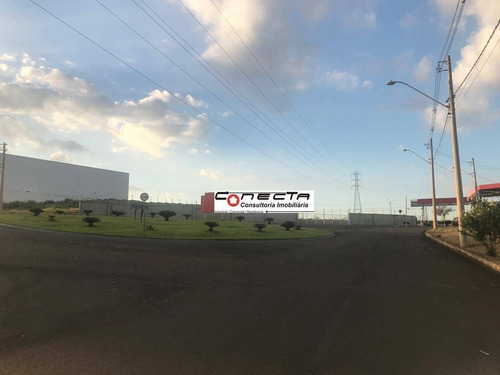 Imagem 7 de 8 de Terreno À Venda, 1300 M² - Loteamento Industrial Gamma - Sumaré/sp - Te0083
