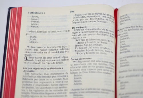 Biblia Lenguaje Actual Deuterocanónico Letra Gigante Bordo