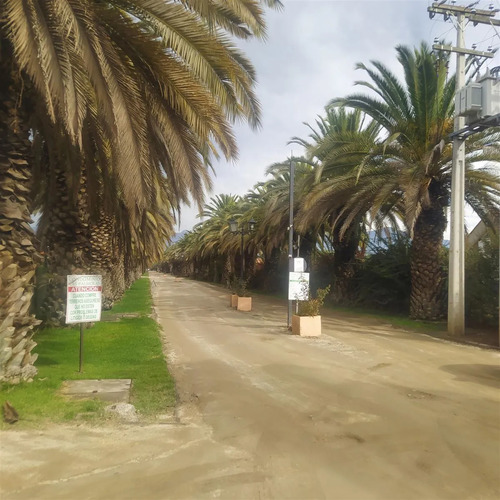 Ultimas Dos Parcelas En Venta En Isla De Maipo