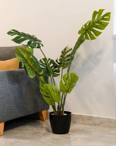 Planta Artificial Grande Decoracion Costilla Monstera