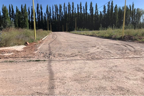 Imagen 10 de 30 de Terreno La Consuelo 499 Mts
