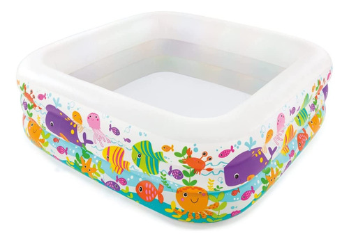 Piscina Inflable Para Acuario Intex, 62  X 62  X 19 , Para M