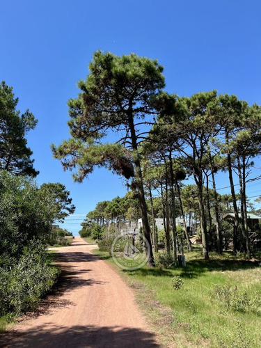 Terreno Cerca De Playa Grande Y Rivero, Excelente Zona