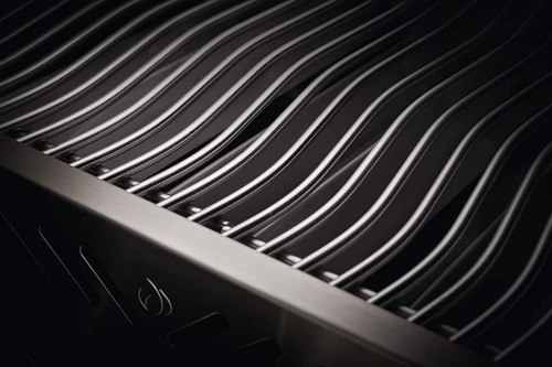 Parrilla Gas Natural Premiun Portatil Color Plata Napoleon