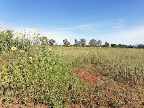 Imagen 10 de 12 de Terreno En Venta San Pablo Ojo De Agua