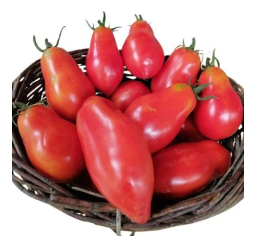 Semillas Tomate San Marzano 