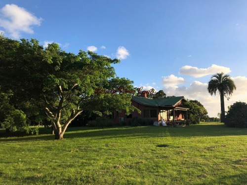 Venta Chacra 8 Has Jose Ignacio - Ref: 19475