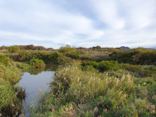 Campo En Rawson, San Juan. Con Agua