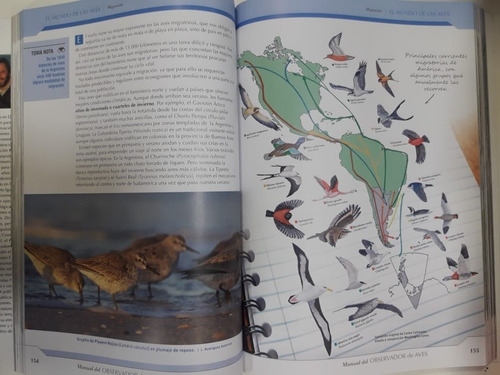 Manual Del Observador De Aves Libro Tito Narosky Bosso