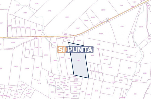 Imagen 2 de 4 de Campo De Gran Tamaño En La Zona De Maldonado