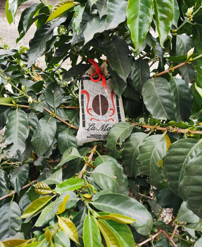 Café Gourmet La Mata Genuino De Coatepec %100 Puro