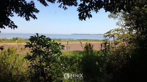 Tf731 - Terreno En Venta Z/ Candelaria
