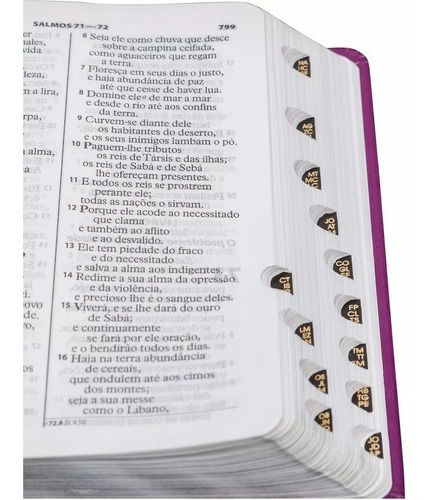 Imagem 3 de 4 de Bíblia Sagrada Feminina Letra Grande Vinho + Índice