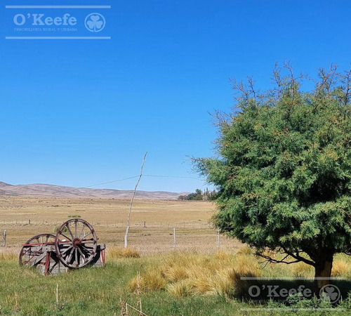 Imagen 19 de 30 de Campo En Venta De 14.000 Has En Neuquen Patagonia Argentina - Estancia Ganadera