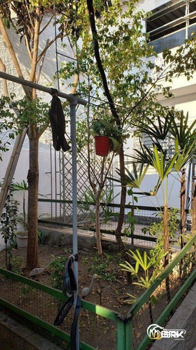 Casa Com 2 Dormitórios À Venda Por R$ 488.000,00 - Parque Boturussu - São Paulo/sp - Ca0353