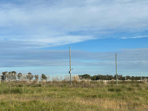 Terreno En Venta - 13.300mts2 - San Miguel Del Monte