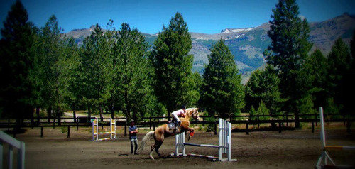 Imagen 3 de 14 de Excelentes Lotes En Venta Ubicados En San Martin De Los Andes