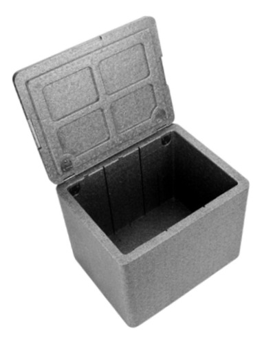 Caja Térmica Aislante Para Calentar Alimentos, Ideal Gris