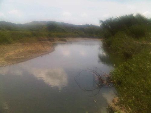 Imagen 2 de 15 de Finca En Venta. Gran Oportunidad.