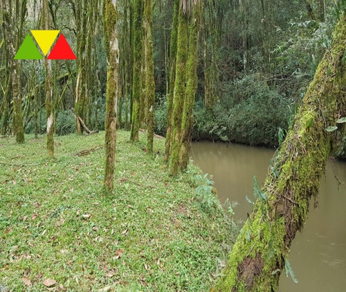 Imagem 29 de 30 de Chácara Em Cai De Baixo - Ch00088 - 34982990