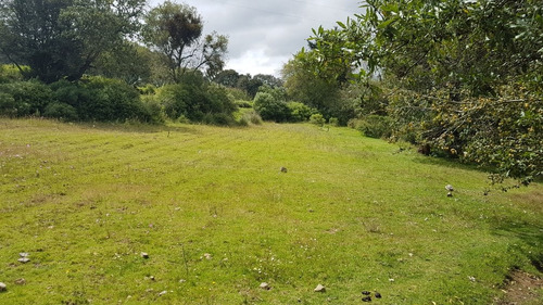 Imagen 4 de 14 de 2,243 M2 Terreno En Acambay De Ruiz, Edo. Mex