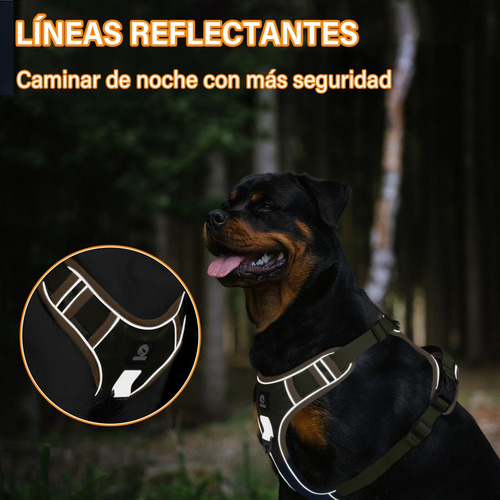 Pechera Arnes Perro Grande Mediano Chico Pequeño Con Correa