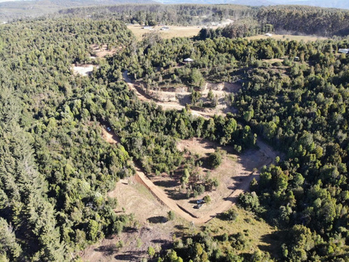 Parcela 5000 M2 En Potrero Alto, Valdivia.