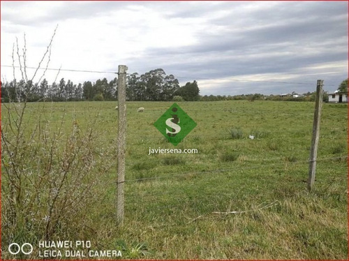 Venta De Chacra En Montevideo, 3,5 Hectareas En Melilla- Ref: 167351