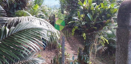 Chácara A Venda No Bairro Centro Em Garuva - Sc. - 352-1